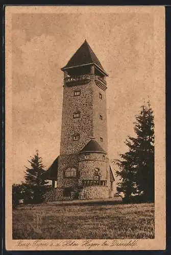 AK Hoher Hagen /Dransfeld, Gauss-Turm auf dem Hohen Hagen