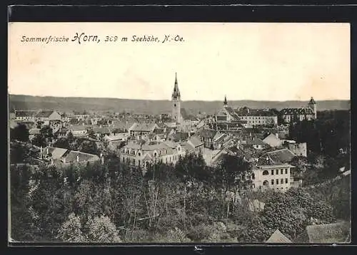 AK Horn /N.-Ö., Gesamtansicht aus der Vogelschau