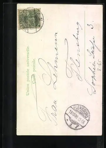 AK The Newsome`s, zwei junge Akrobaten im Kostüm