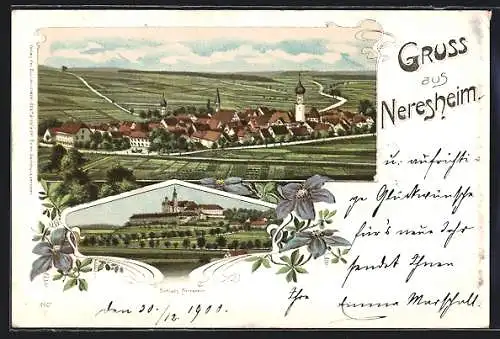 Lithographie Neresheim, Schloss, Panoramaansicht