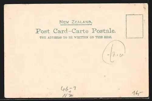 AK Wellington, Government Buildings, Strassenbahn