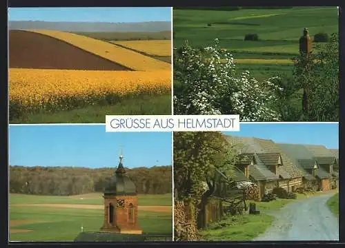 AK Helmstadt / Bayern, Strassenpartie, Kirchturmspitze, Rapsfelder