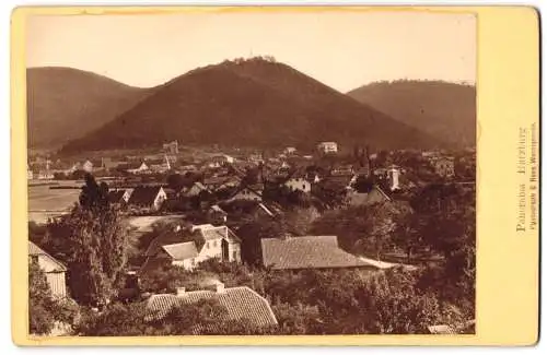 Fotografie E. Rose, Wernigerode, Ansicht Bad Harzburg, Blick auf die Wohnhäuser des Ortes