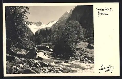 Foto-AK Hans Hruschka Nr. 555: Zillertal, Partie an der Floite