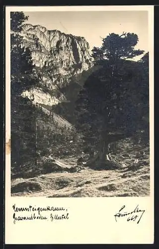 Foto-AK Hans Hruschka Nr. 669: Gewandboden im Zillertal