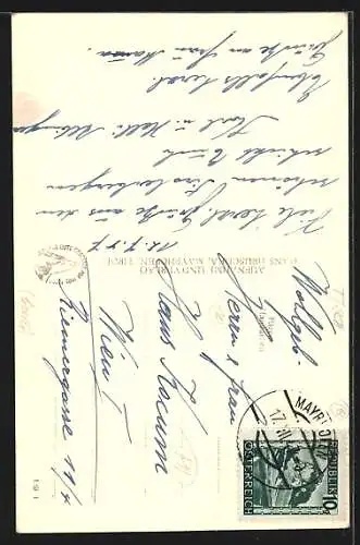 Foto-AK Hans Hruschka Nr. 22: Mayrhofen, Blick auf den Ort