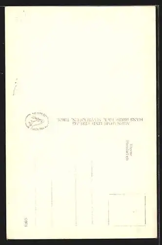 Foto-AK Hans Hruschka: Ginzling /Zillertal, Ortsansicht aus der Vogelschau