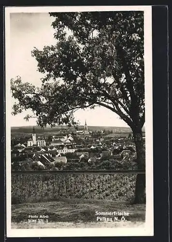 AK Pulkau /N.-Ö., Teilansicht mit Kirche