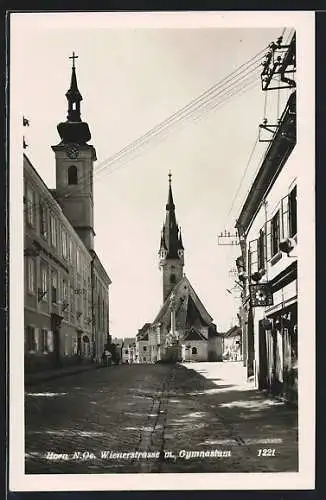 AK Horn /N.-Oe., Wienerstrasse mit Gymnasium und Kirche