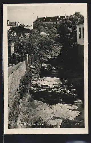 AK Horn /N.-Oe., Ortspartie vom Alt-Bach