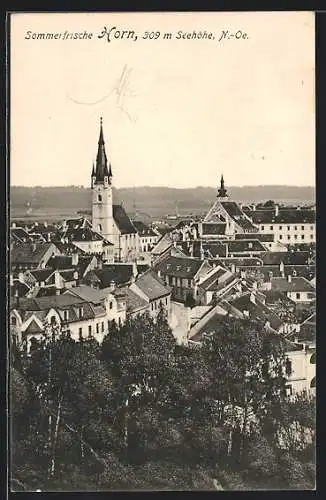 AK Horn /N.-Oe., Teilansicht mit Kirche und Strassenpartie