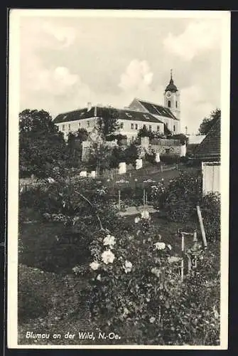 AK Blumau an der Wild, Ortspartie mit Kirche