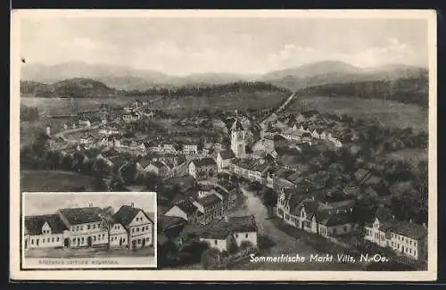 AK Vitis /N.-Oe., Kaufhaus Gottlieb Roschanek und Ortsansicht