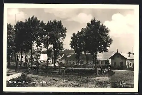 AK Windigsteig /N. D., Ansicht Markt