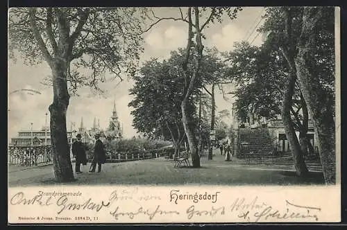 AK Heringsdorf / Seebad, Strandpromenade mit Bäumen