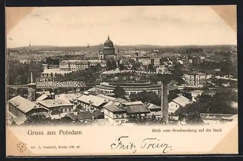 AK Potsdam, Blick vom Braunhausberg auf die Stadt