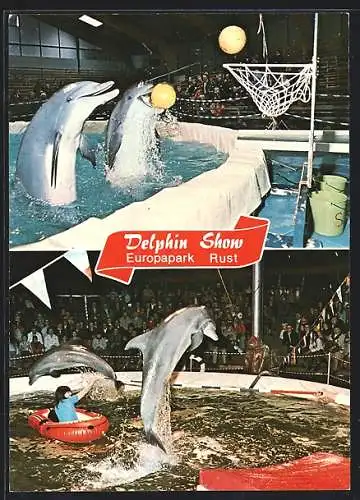 AK Rust /Baden, Die Delphin-Show im Europa-Park