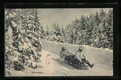 AK Zwei Männer fahren Schlitten in verschneitem Wald