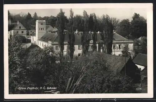 AK Gross-Pertholz /N.-Ö., Schloss