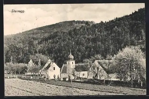AK Altenburg /N.-Oe., Steinegg mit Kirche