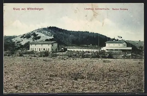 AK Hamburg-Wittenbergen, Blick zum Landhaus Gustav Herbers