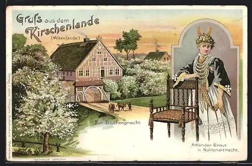 Lithographie Altenlande / Kirschenlande, Altländer Braut in Tracht, Altenländer Blütenpracht