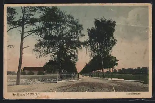 AK Misburg, Waldstrasse mit Brücke und Anwesen