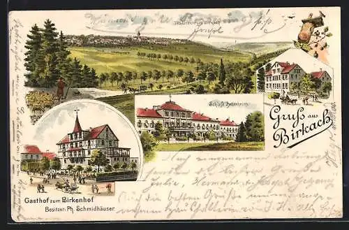 Lithographie Birkach / Hohenheim, Totalansicht, Gasthof zum Birkenhof, Schloss Hohenheim