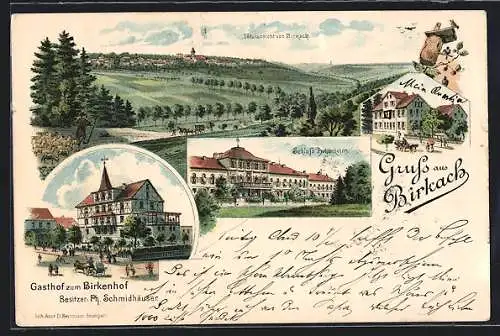 Lithographie Birkach / Hohenheim, Totalansicht, Gasthof zum Birkenhof, Schloss Hohenheim