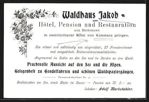 Lithographie Konstanz, Hotel Waldhaus Jakob, Ortsansicht