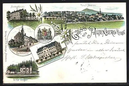 Lithographie Altenberg / Erzgebirge, Villa Unger, Amtsgericht, Rathaus