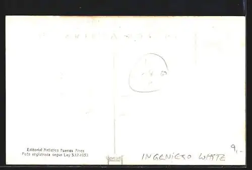 AK Buenos Aires, Ingeniero White, Elevadores