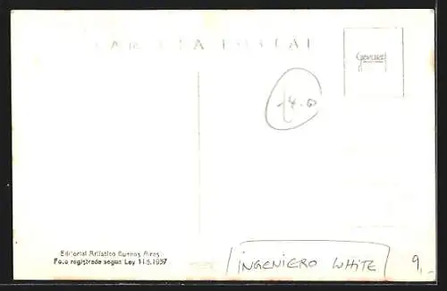 AK Buenos Aires, Ingeniero White, Elevadores