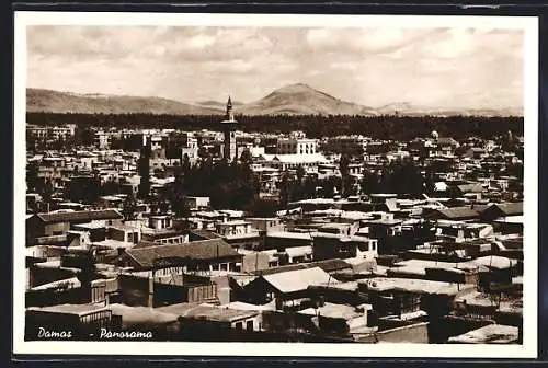 AK Damas, Panorama