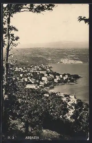 AK Abbazia, Küstenpanorama vom Berg aus