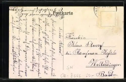 AK Wiesholz, Partie am Institut