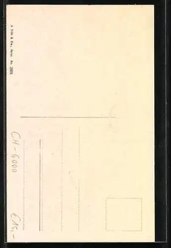 AK Luzern, Aussenansicht vom Grand Restaurant Rosengarten