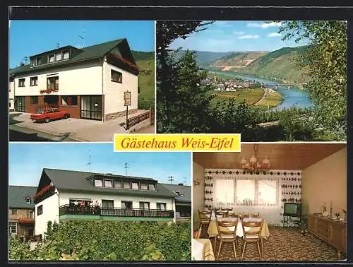 AK Trittenheim, Weingut-Gästehaus Erwin Weis-Eifel, Olkstrasse 8, Innenansicht, Rückansicht