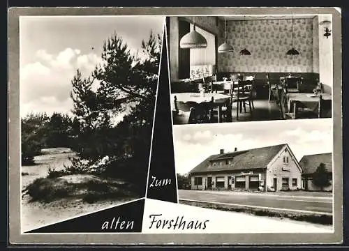 AK Hahnenknoop, Gasthaus Zum alten Forsthaus, Innenansicht, Ortspartie