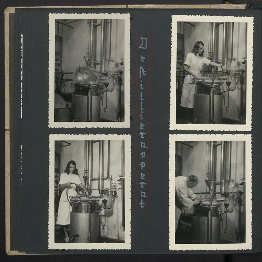 Fotoalbum mit 74 Fotografien, Ansicht Dessau-Rosslau, Apotheke und Heilpflanzenanbau Dr. Luxat, Innenansicht, Medikamente 10