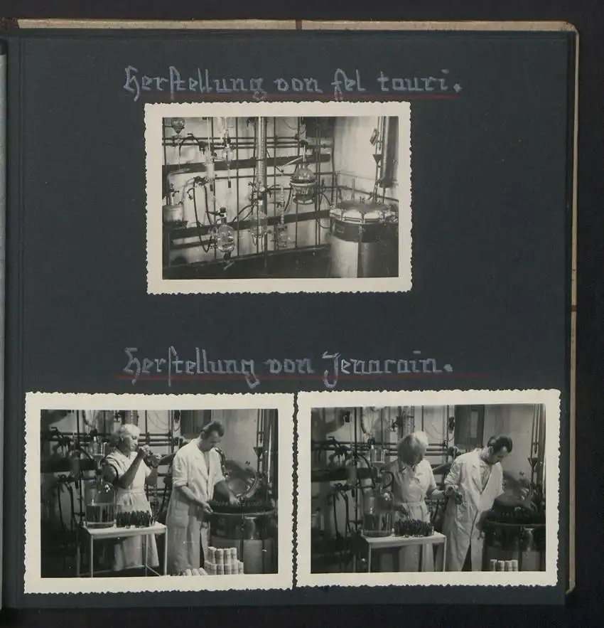 Fotoalbum mit 74 Fotografien, Ansicht Dessau-Rosslau, Apotheke und Heilpflanzenanbau Dr. Luxat, Innenansicht, Medikamente 11