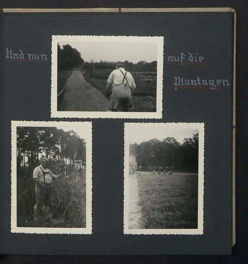 Fotoalbum mit 74 Fotografien, Ansicht Dessau-Rosslau, Apotheke und Heilpflanzenanbau Dr. Luxat, Innenansicht, Medikamente 17