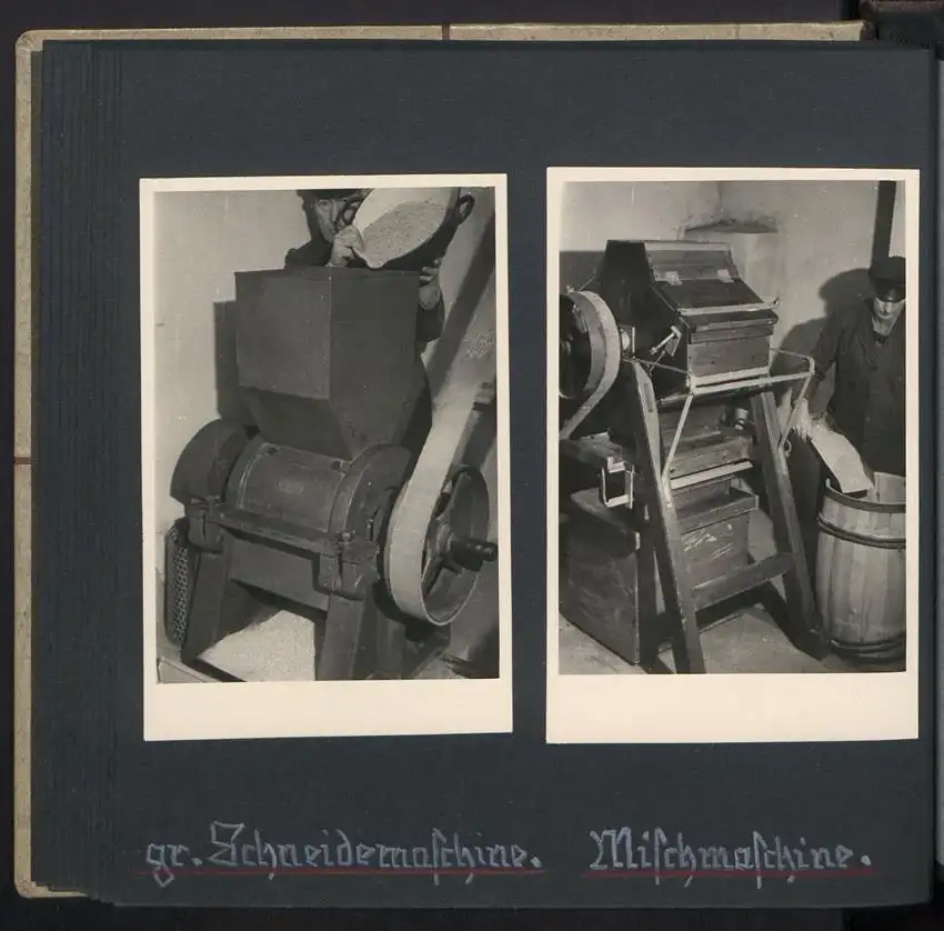 Fotoalbum mit 74 Fotografien, Ansicht Dessau-Rosslau, Apotheke und Heilpflanzenanbau Dr. Luxat, Innenansicht, Medikamente 22