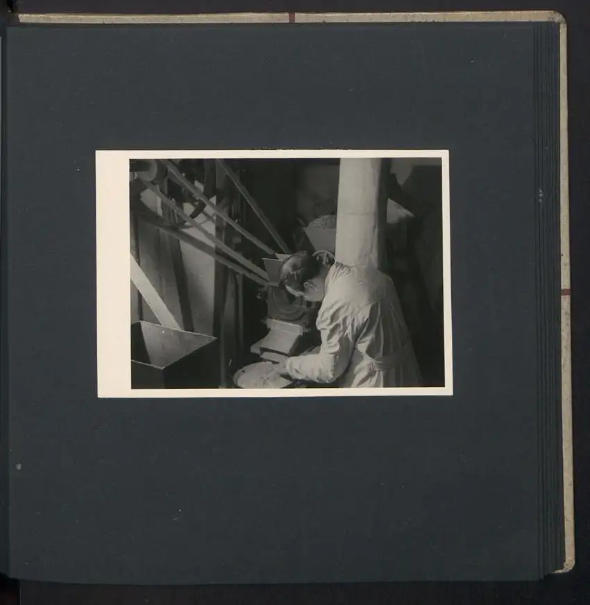 Fotoalbum mit 74 Fotografien, Ansicht Dessau-Rosslau, Apotheke und Heilpflanzenanbau Dr. Luxat, Innenansicht, Medikamente 23