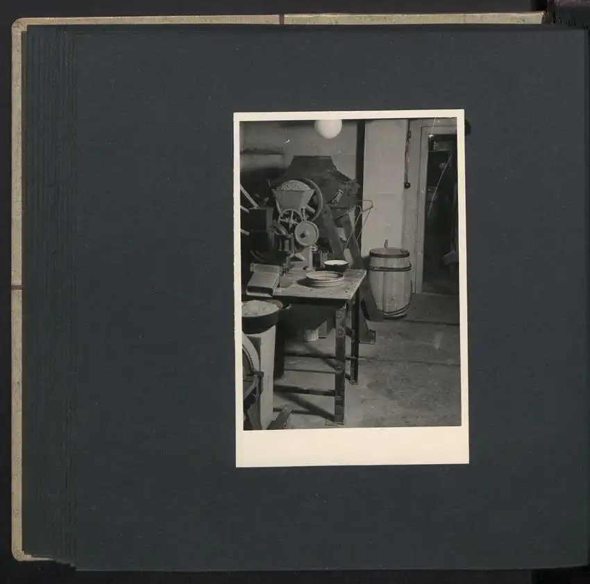 Fotoalbum mit 74 Fotografien, Ansicht Dessau-Rosslau, Apotheke und Heilpflanzenanbau Dr. Luxat, Innenansicht, Medikamente 24