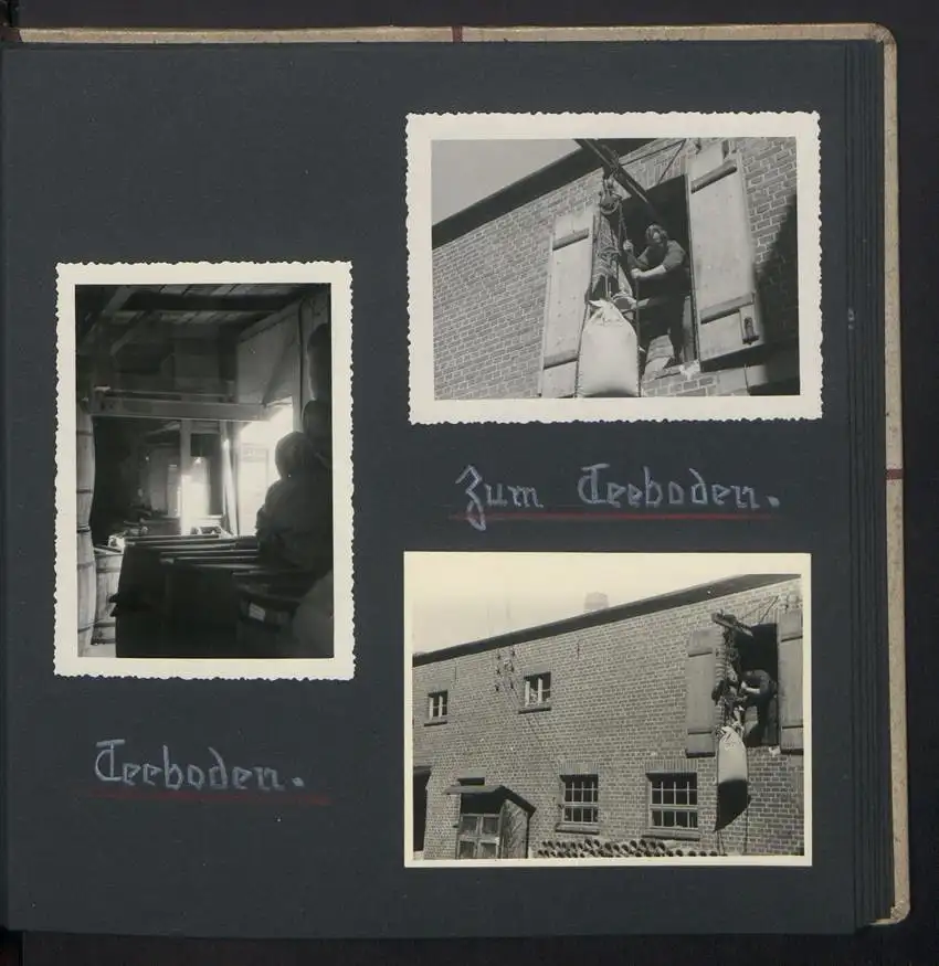 Fotoalbum mit 74 Fotografien, Ansicht Dessau-Rosslau, Apotheke und Heilpflanzenanbau Dr. Luxat, Innenansicht, Medikamente 25