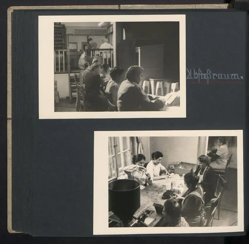 Fotoalbum mit 74 Fotografien, Ansicht Dessau-Rosslau, Apotheke und Heilpflanzenanbau Dr. Luxat, Innenansicht, Medikamente 26