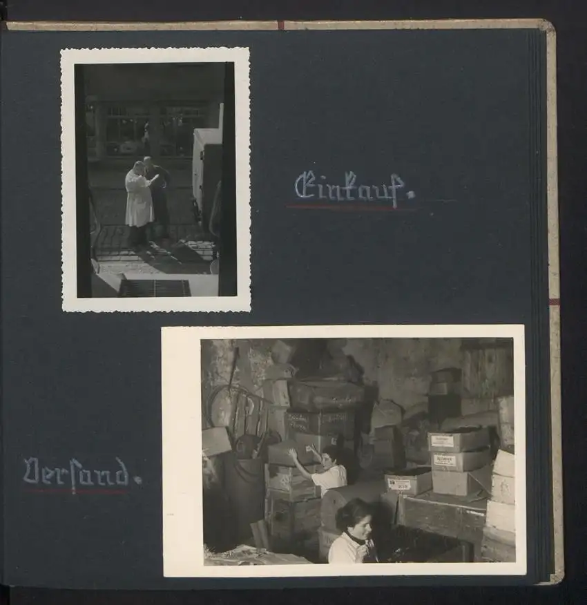 Fotoalbum mit 74 Fotografien, Ansicht Dessau-Rosslau, Apotheke und Heilpflanzenanbau Dr. Luxat, Innenansicht, Medikamente 29