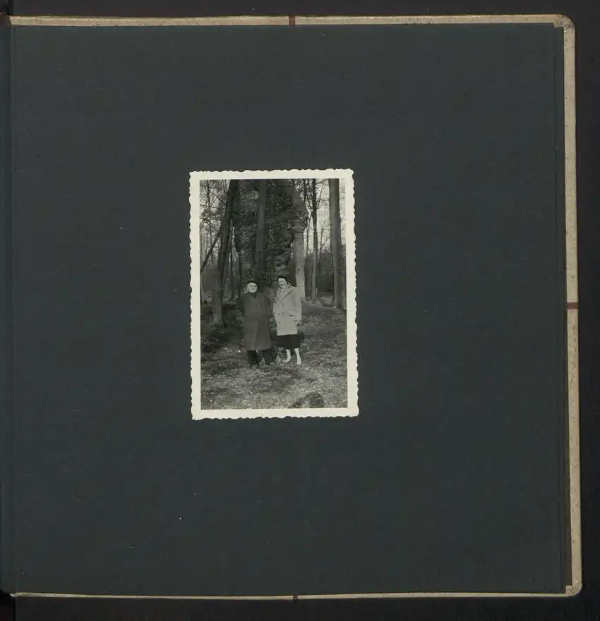 Fotoalbum mit 74 Fotografien, Ansicht Dessau-Rosslau, Apotheke und Heilpflanzenanbau Dr. Luxat, Innenansicht, Medikamente 35