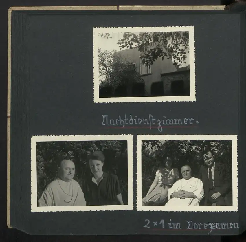 Fotoalbum mit 74 Fotografien, Ansicht Dessau-Rosslau, Apotheke und Heilpflanzenanbau Dr. Luxat, Innenansicht, Medikamente 36